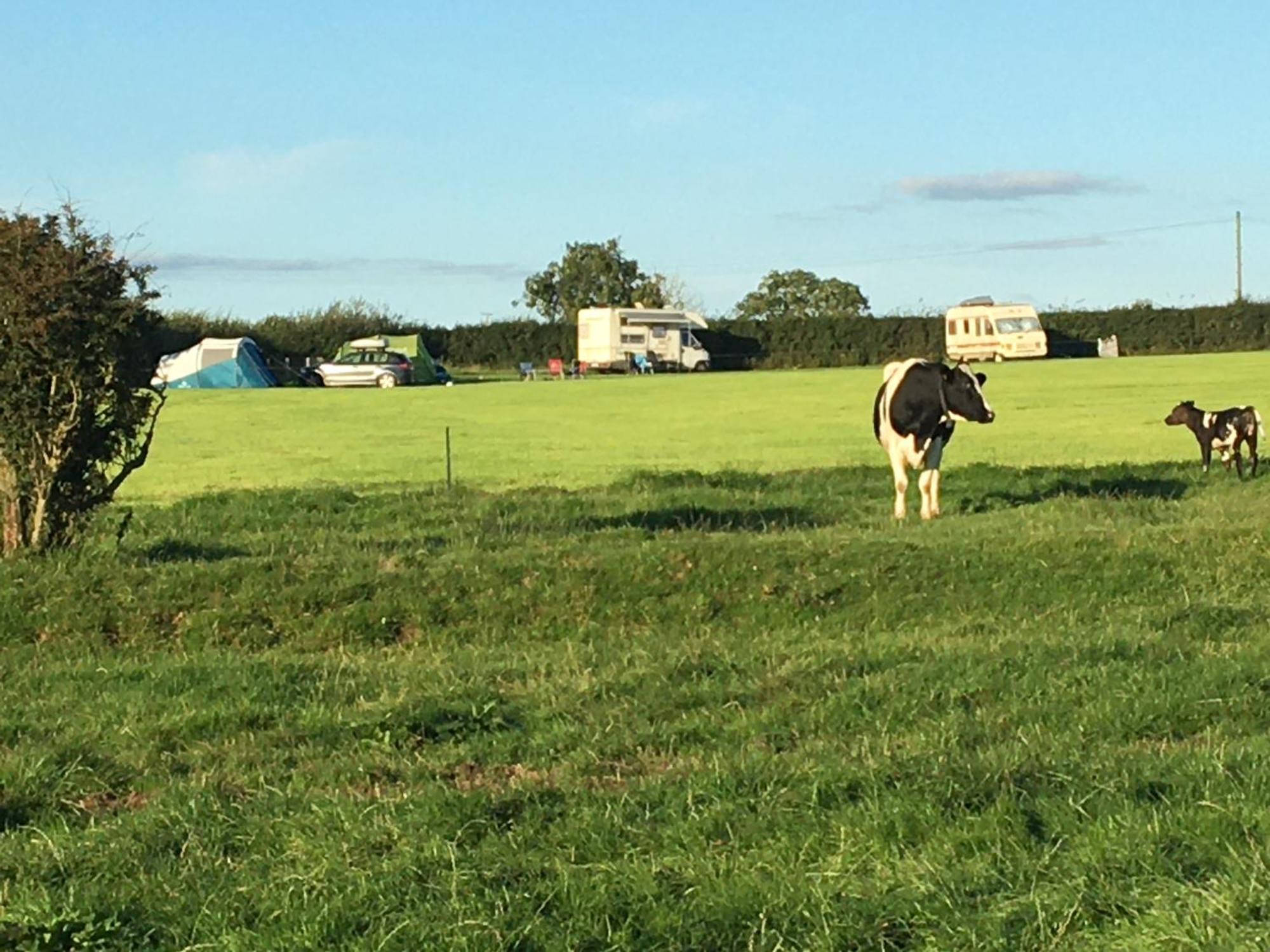 Carreg Y Gwynt Campsite - Touring And Tent Pitches Hotel Llanarth  Exterior photo